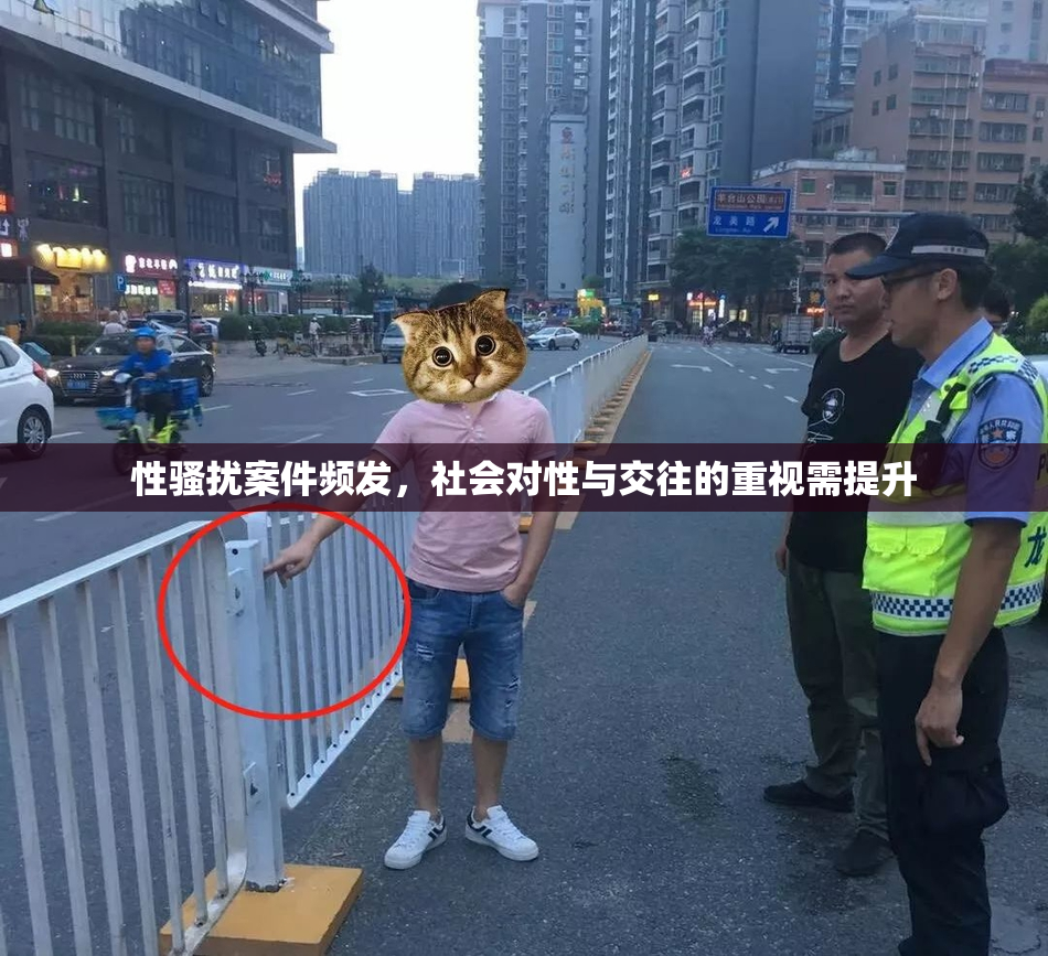 性骚扰案件频发，社会对性与交往的重视需提升