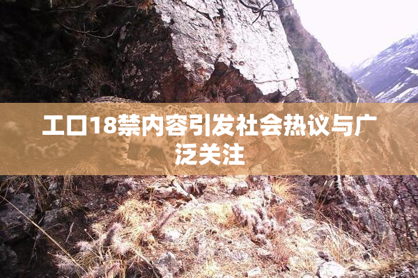 工口18禁内容引发社会热议与广泛关注