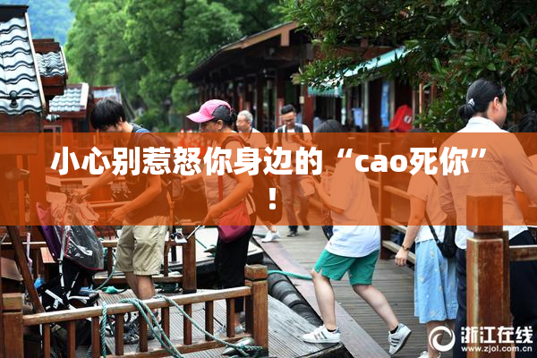小心别惹怒你身边的“cao死你”！