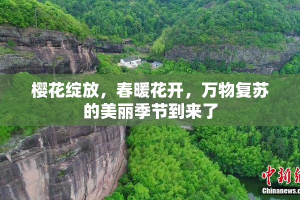 樱花绽放，春暖花开，万物复苏的美丽季节到来了