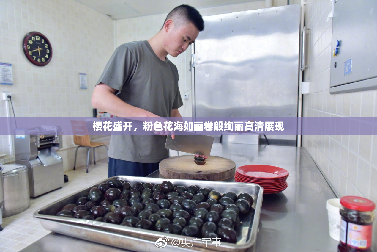 樱花盛开，粉色花海如画卷般绚丽高清展现