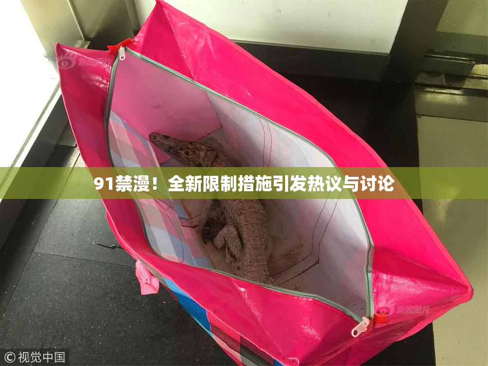 91禁漫！全新限制措施引发热议与讨论
