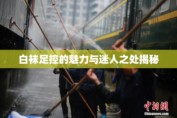 白袜足控的魅力与迷人之处揭秘