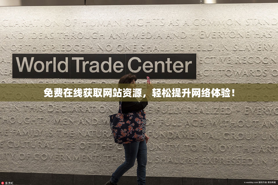 免费在线获取网站资源，轻松提升网络体验！