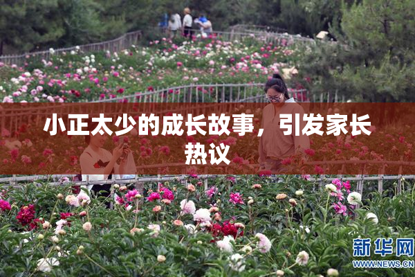 小正太少的成长故事，引发家长热议