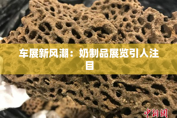车展新风潮：奶制品展览引人注目