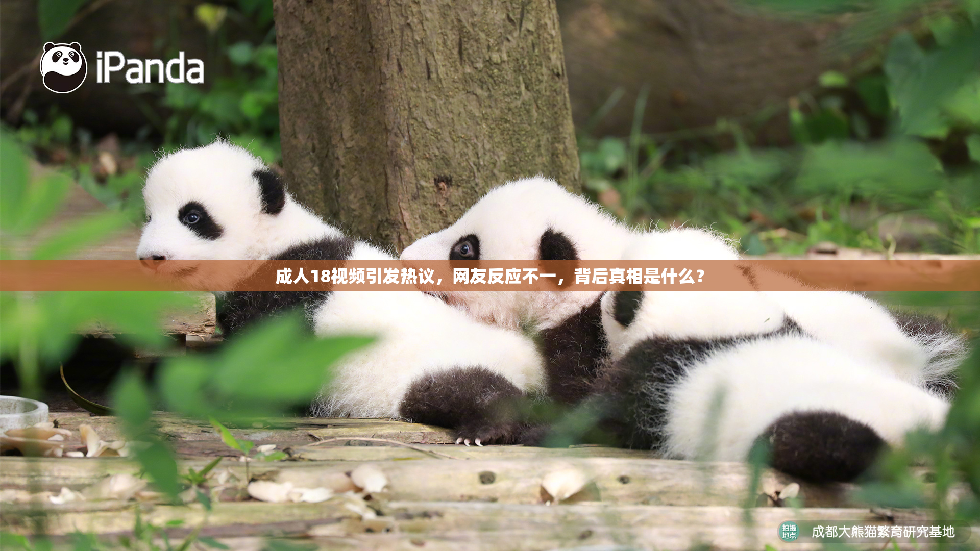 成人18视频引发热议，网友反应不一，背后真相是什么？