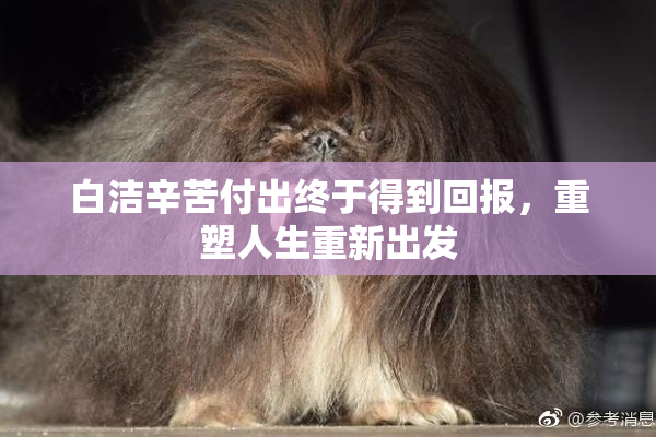 白洁辛苦付出终于得到回报，重塑人生重新出发