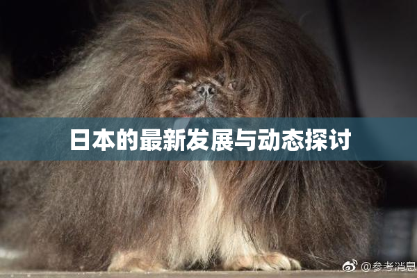 日本的最新发展与动态探讨