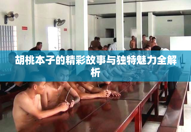 胡桃本子的精彩故事与独特魅力全解析