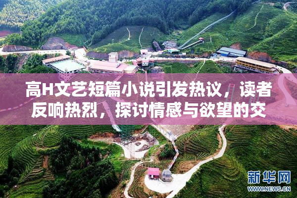 高H文艺短篇小说引发热议，读者反响热烈，探讨情感与欲望的交织