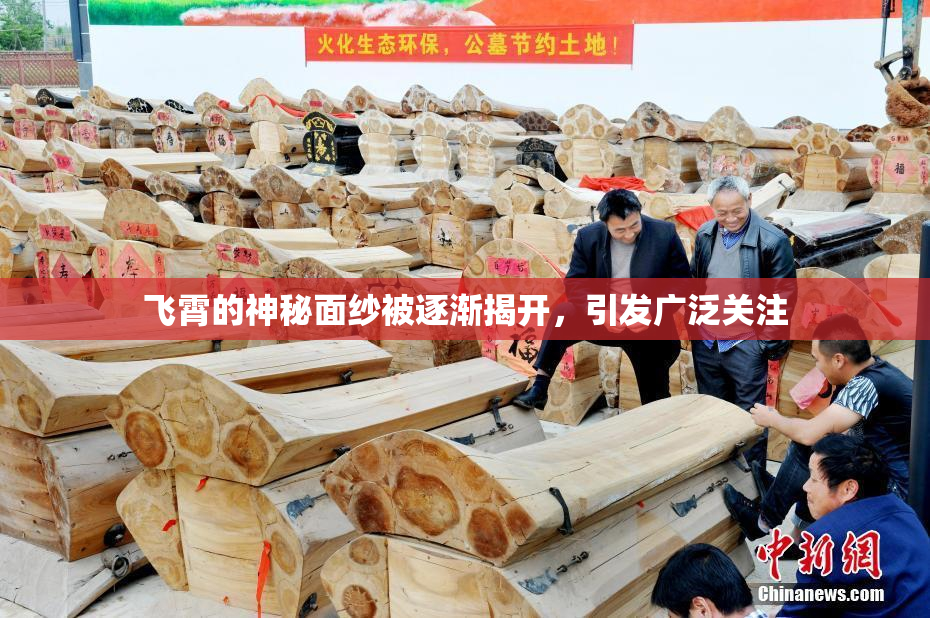 飞霄的神秘面纱被逐渐揭开，引发广泛关注
