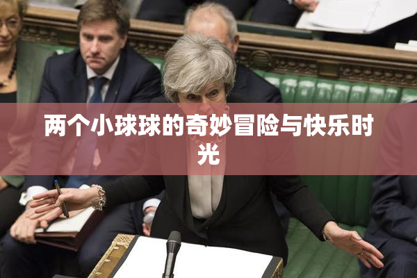 两个小球球的奇妙冒险与快乐时光