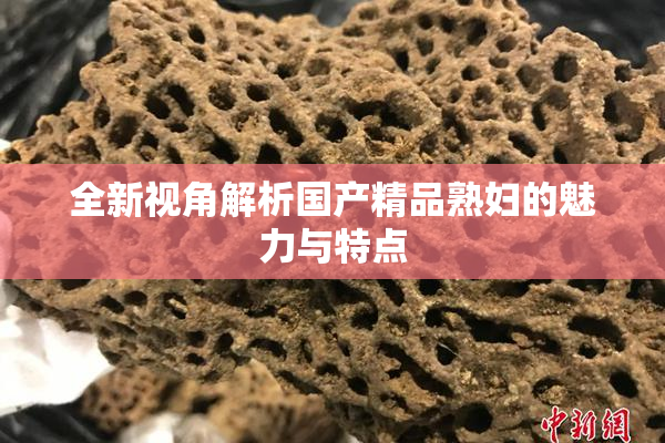 全新视角解析国产精品熟妇的魅力与特点