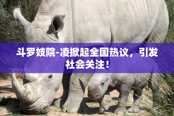 斗罗妓院-凌掀起全国热议，引发社会关注！