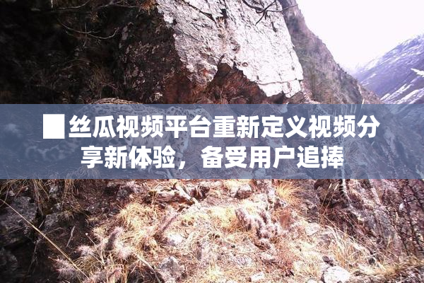 ▉丝瓜视频平台重新定义视频分享新体验，备受用户追捧