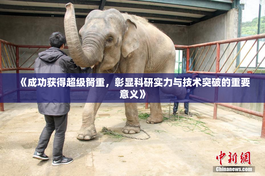 《成功获得超级胬重，彰显科研实力与技术突破的重要意义》