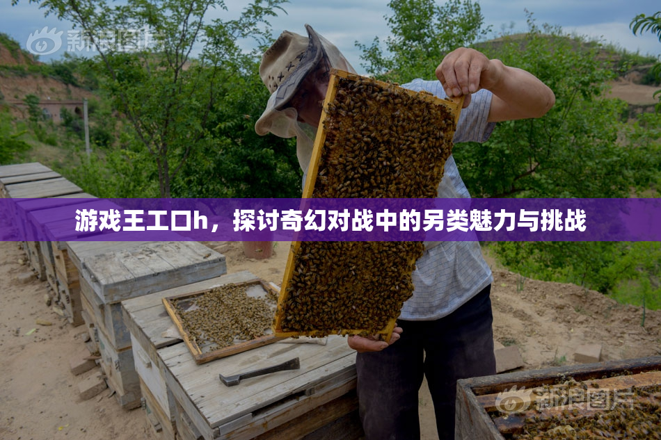 游戏王工口h，探讨奇幻对战中的另类魅力与挑战