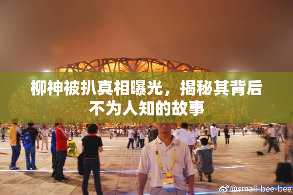 柳神被扒真相曝光，揭秘其背后不为人知的故事