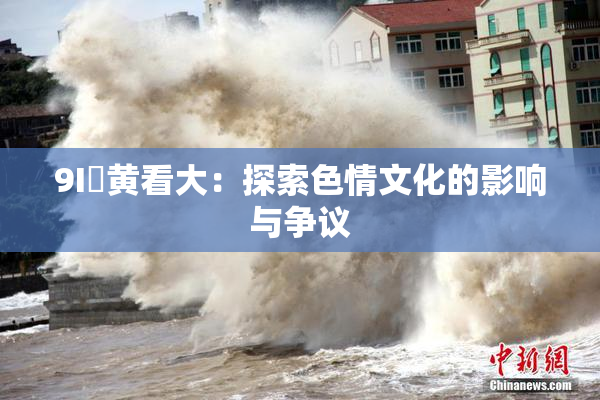 9I婬黄看大：探索色情文化的影响与争议