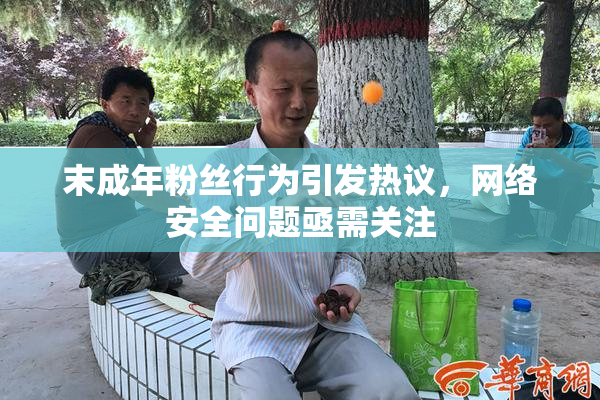 末成年粉丝行为引发热议，网络安全问题亟需关注
