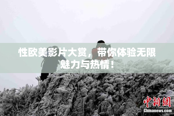 性欧美影片大赏，带你体验无限魅力与热情！