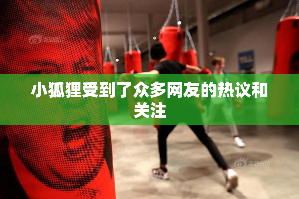 小狐狸受到了众多网友的热议和关注