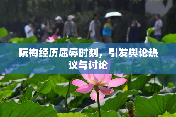 阮梅经历屈辱时刻，引发舆论热议与讨论