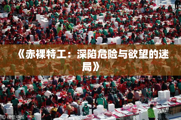 《赤裸特工：深陷危险与欲望的迷局》