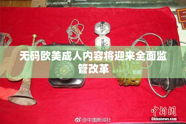 无码欧美成人内容将迎来全面监管改革