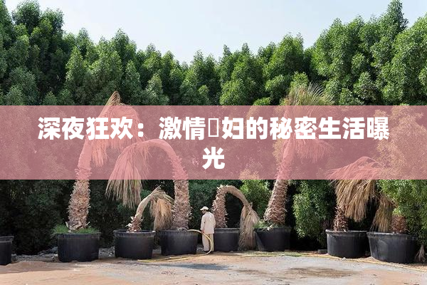 深夜狂欢：激情婬妇的秘密生活曝光
