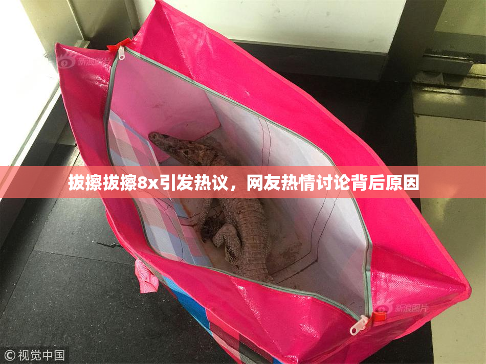 拔擦拔擦8x引发热议，网友热情讨论背后原因