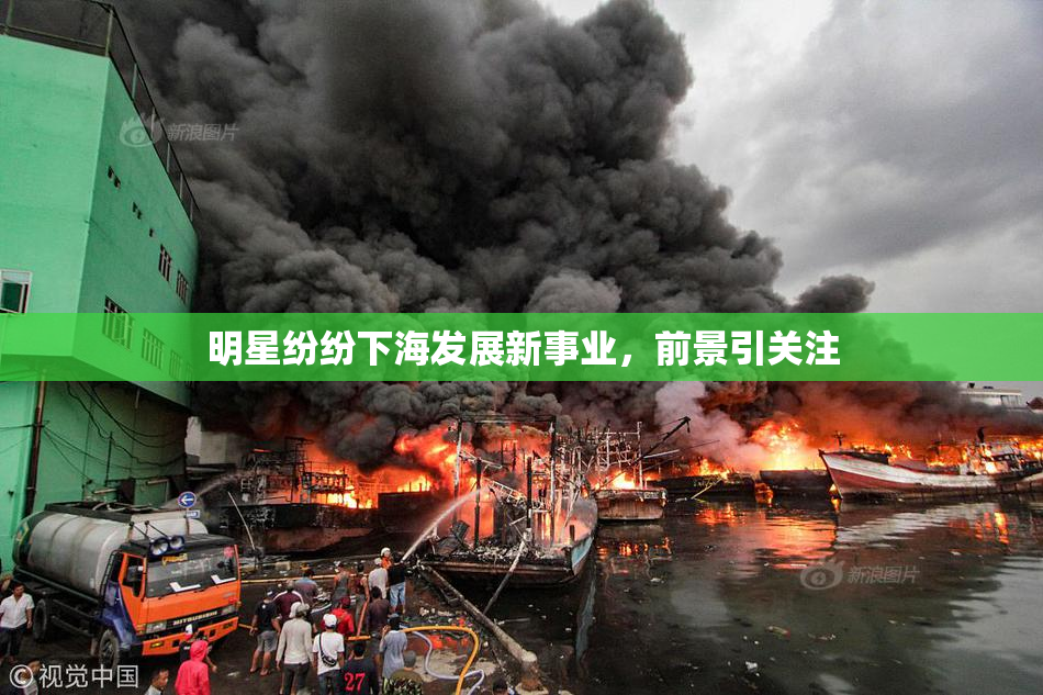 明星纷纷下海发展新事业，前景引关注