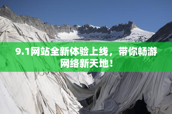 9.1网站全新体验上线，带你畅游网络新天地！