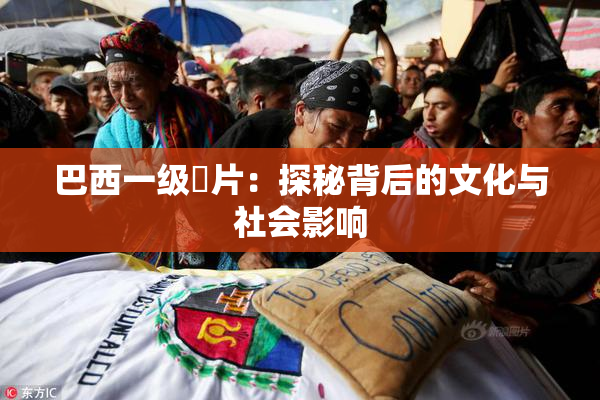 巴西一级婬片：探秘背后的文化与社会影响