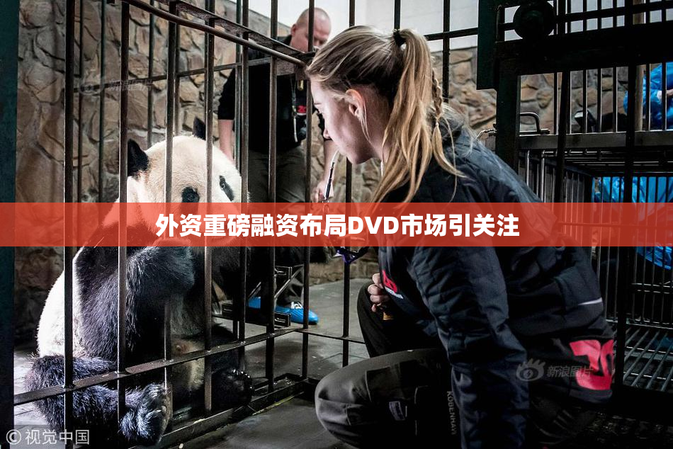 外资重磅融资布局DVD市场引关注