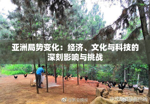 亚洲局势变化：经济、文化与科技的深刻影响与挑战