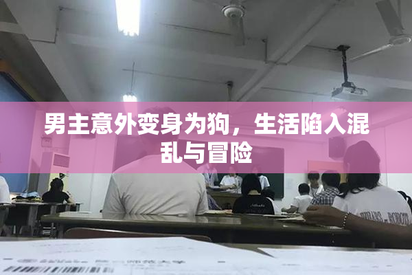 男主意外变身为狗，生活陷入混乱与冒险