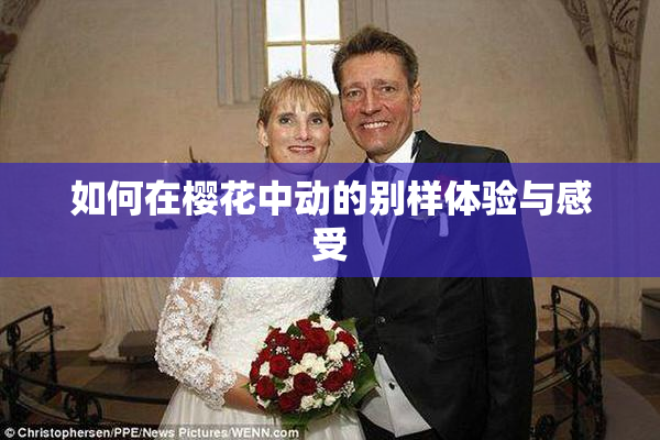 如何在樱花中动的别样体验与感受