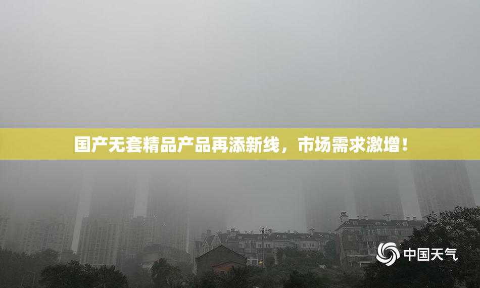 国产无套精品产品再添新线，市场需求激增！