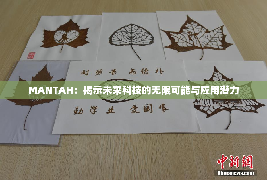 MANTAH：揭示未来科技的无限可能与应用潜力