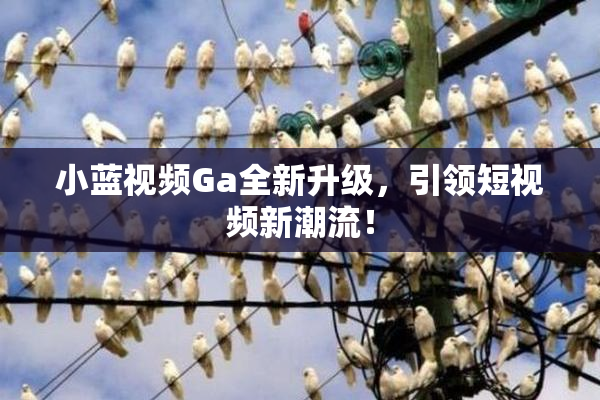 小蓝视频Ga全新升级，引领短视频新潮流！