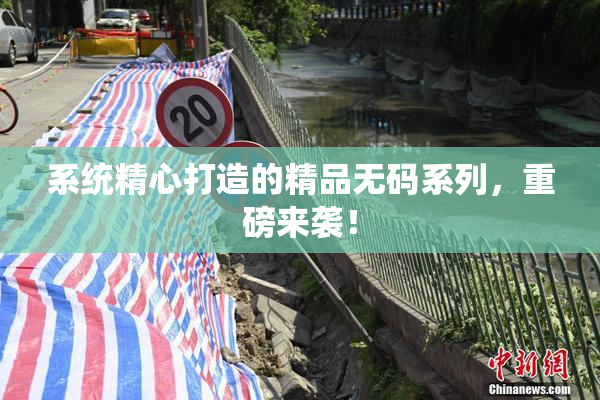 系统精心打造的精品无码系列，重磅来袭！
