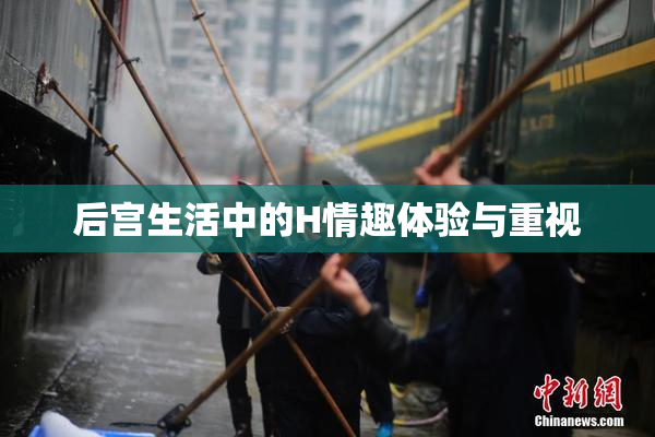 后宫生活中的H情趣体验与重视