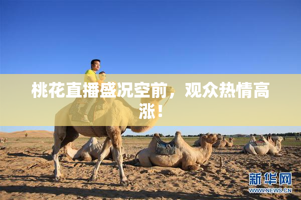 桃花直播盛况空前，观众热情高涨！