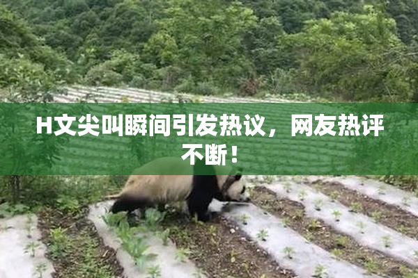 H文尖叫瞬间引发热议，网友热评不断！