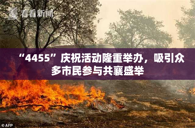 “4455”庆祝活动隆重举办，吸引众多市民参与共襄盛举