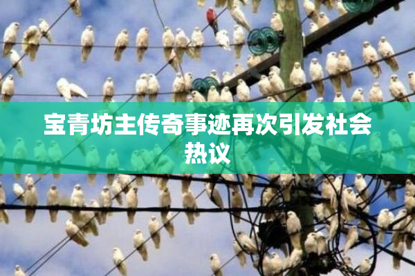 宝青坊主传奇事迹再次引发社会热议