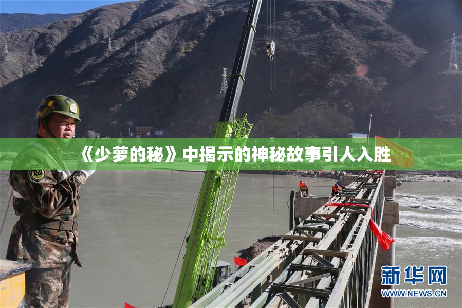 《少萝的秘》中揭示的神秘故事引人入胜