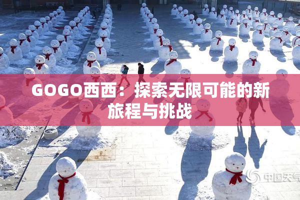 GOGO西西：探索无限可能的新旅程与挑战
